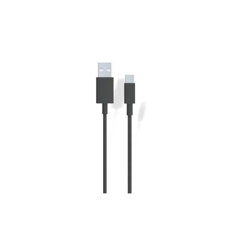 Direct Beschikbaar USB Charging and Data Cable - Type-C / 2A - 2m - Black