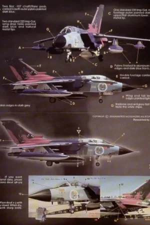 Sticker Panavia Tornado IDS (1) Italian Air Force 50 Stormo 155 Gruppo. 60th Anniversary scheme at NATO Tiger Meet 2002 Hete Deal