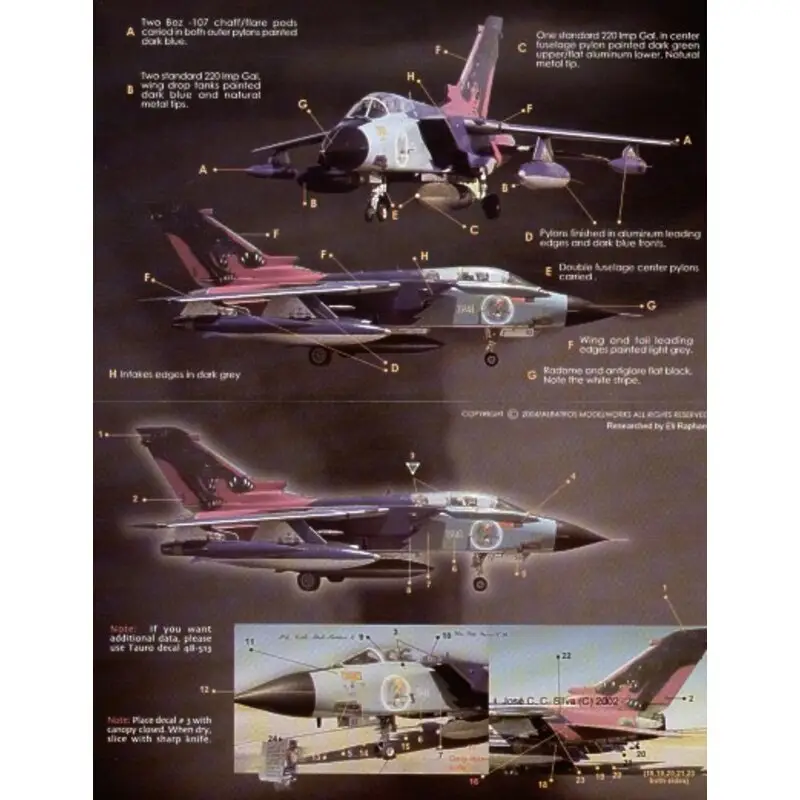 Sticker Panavia Tornado IDS (1) Italian Air Force 50 Stormo 155 Gruppo. 60th Anniversary scheme at NATO Tiger Meet 2002 Hete Deal