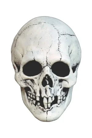 Populair Mabry Monsters mask Night Owl Skull White