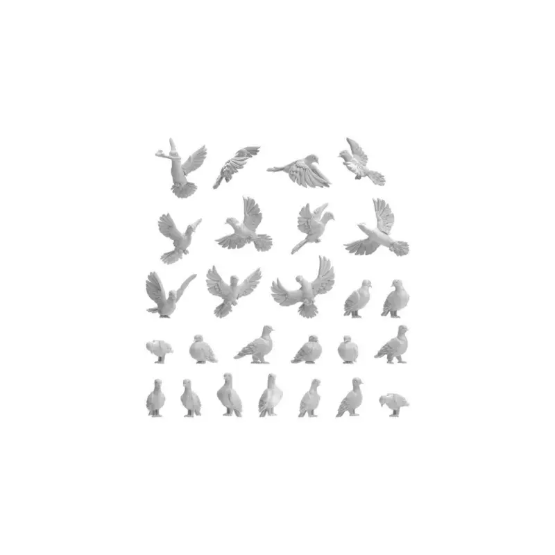 Aanbieding Animals / pigeons