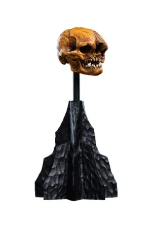 Populair The Lord of the Rings Statuette Skull of a Misty Mountain Goblin 14 cm Figuurtje