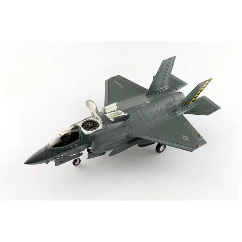 F-35B 'Black Death'170064 VMFA-542 'Tigers' MCAS Cherry Point 2023 Miniatuur Superprijs