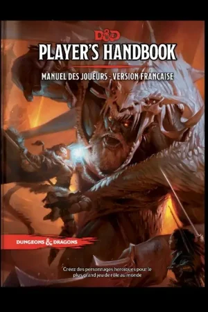 Wizards of the Coast D5MAJOFR Snelle Levering