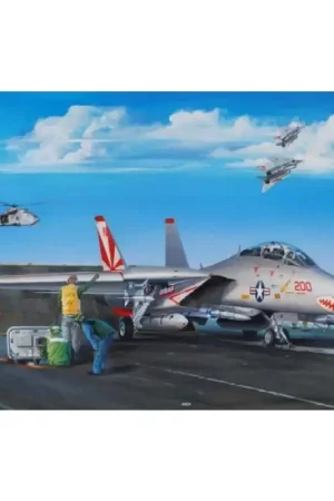 F-14a tomcat Schaalmodel Tijdelijk Beschikbaar