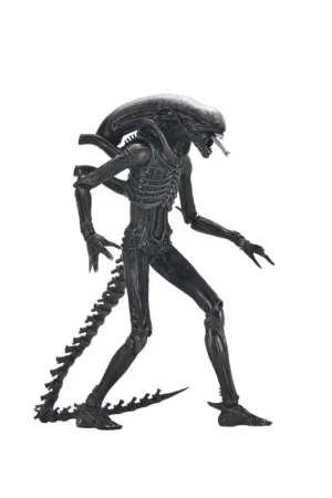 Snelle Levering Alien: Romulus - Ultimate Xenomorph XX121 18 cm action figure Figuurtje