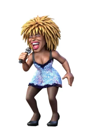 Tina Turner - Minix Tina Turner figure 12 cm Figuurtje Hoge Kwaliteit