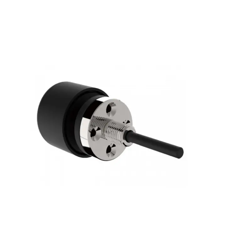 Joysway Fishing Surfer V2 Brushless Motor Gratis Retour