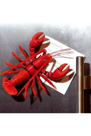Exclusieve Aanbieding SNAP MAGNEET 'LOBSTER' 12,5x3,5x9cm, in metaal