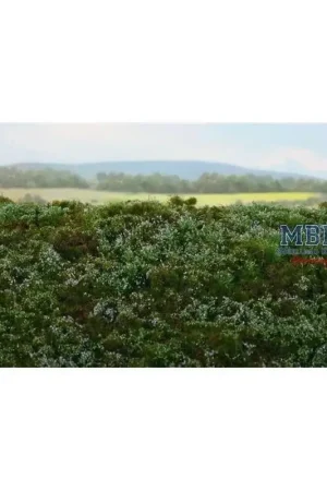 Waldboden Blaubeeren/ blueberries MINIPACK Beperkte Voorraad