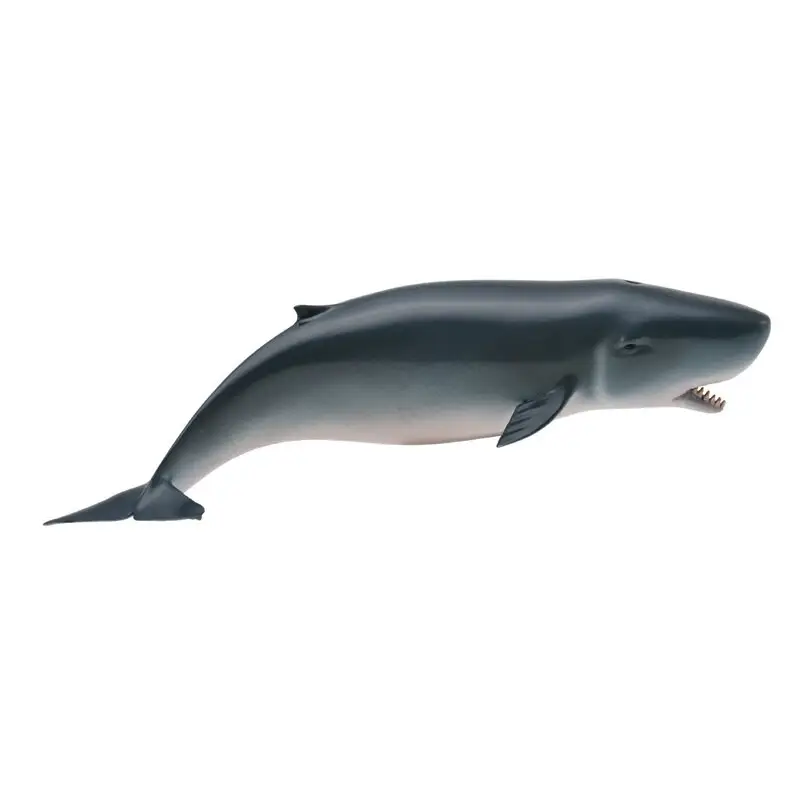 Beste Prijs Collecta Zeedieren (M): PYGMY CACHALOT 15,2x3,8cm Figure