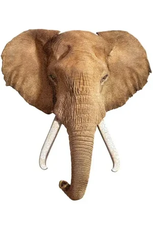 Puzzel Ik ben - olifant Weekendaanbieding