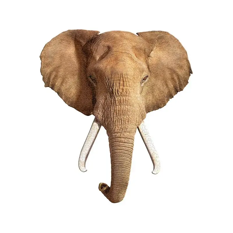 Puzzel Ik ben - olifant Weekendaanbieding