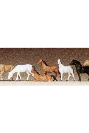 paarden Speciale Aanbieding