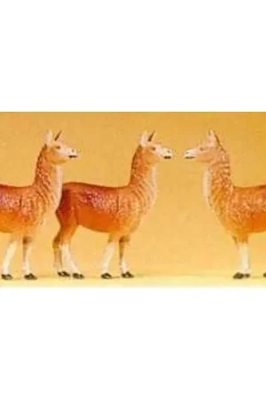 Dagaanbieding Lama's